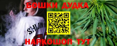 индика Рязань