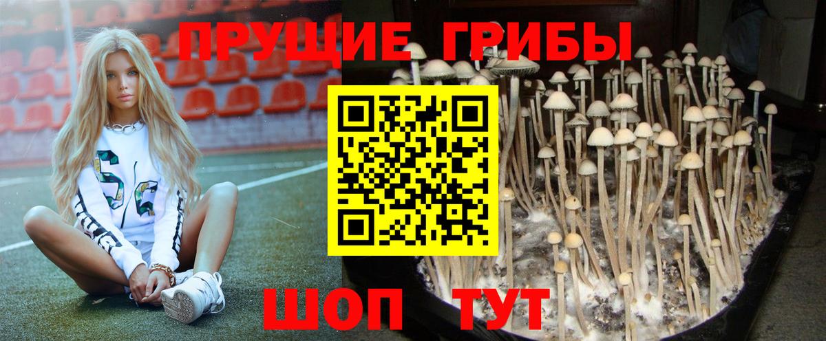 Псилоцибиновые грибы мухоморы  Вход с VPN  Галлюциногенные грибы мицелий  Первоуральск 